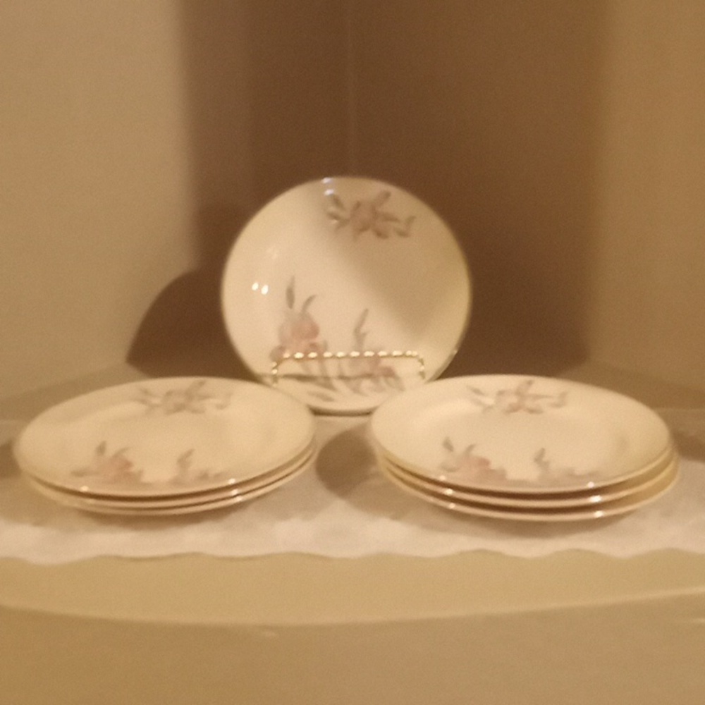 Vintage Universal Cambridge Iris Plate Bundle - 7 - 6"  Bread Plates
